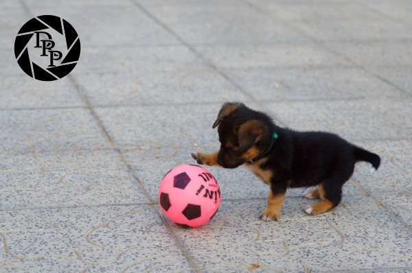 14041 - Soccer player