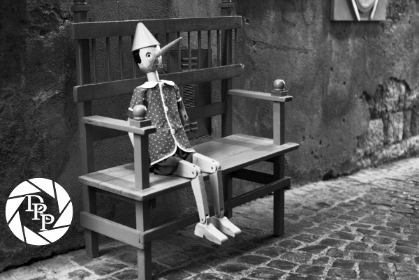 15242391951_373a06ddd8_o