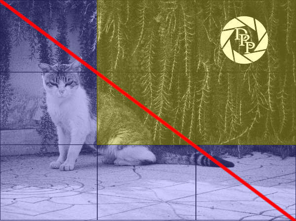 36191380910_6aa1c54452_o - Riassunto