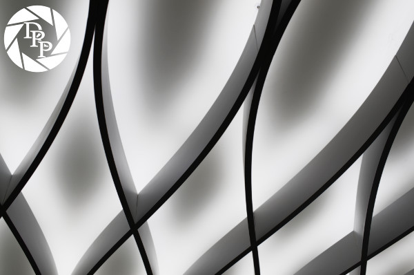 16350058625_911d51ae00_o