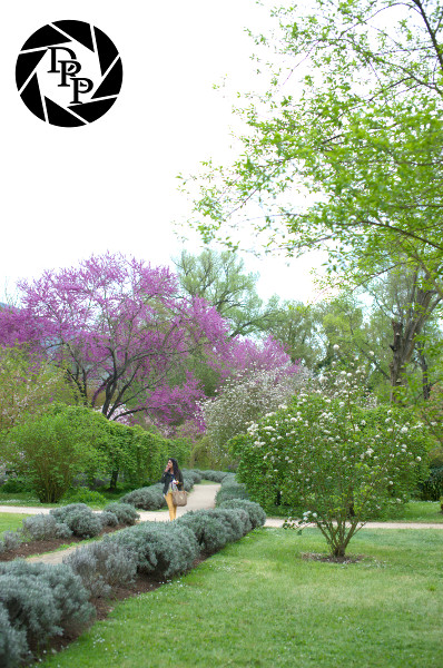 17057122519_e282f490b6_o