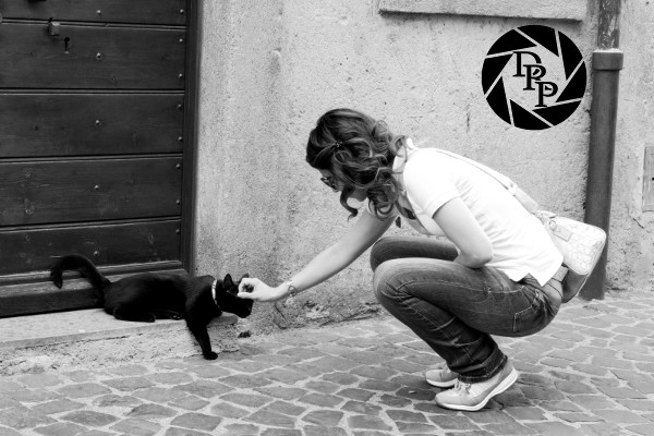 21477149551_af6c1e3def_o