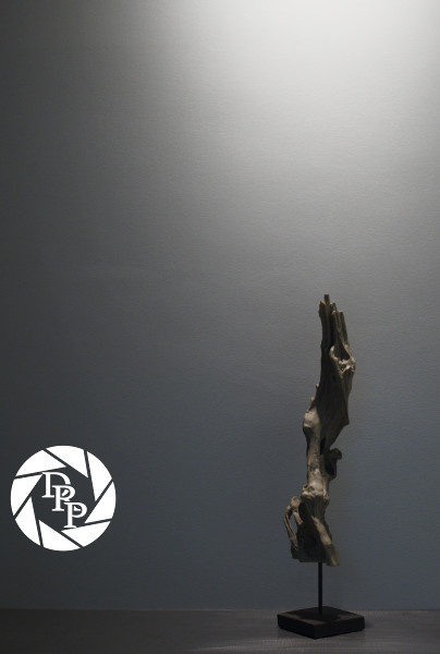 13378260963_304ae828e5_o