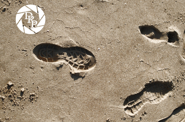 16148116638_59fa450296_o