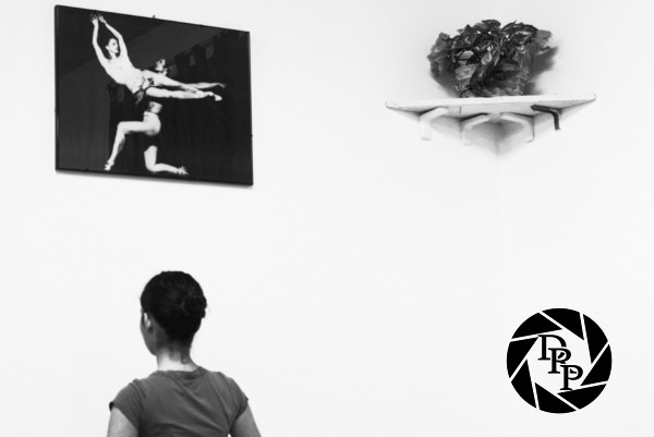 9029297424_8f5ab00f9d_o