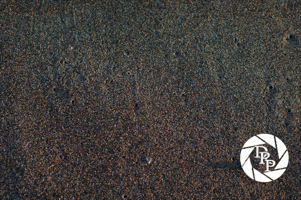 9054543752_101ea3c60b_o