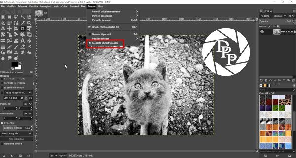 [DSCF3726] (importata)-1.0 (Colore RGB interi a 8 bit gamma, GIMP built-in sRGB, 1 livello) 4018x2998 – GIMP