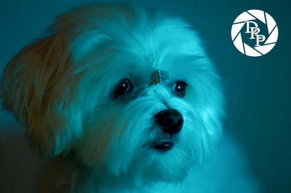 28206947733_ce8f73eaa5_o