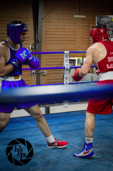 29135748008_7c560fa27e_o