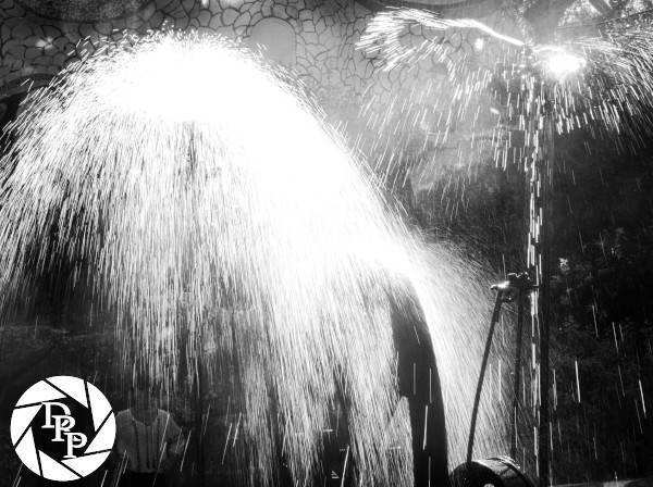 43199018041_0140f0c7c6_o