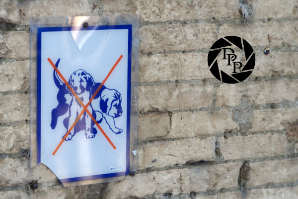 9366481740_2604f1e872_o