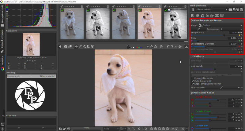 RawTherapee 5.4 - CUsersDarthSeverDesktopMissy 08-2018ORIGINALIDSCF4565.RAF