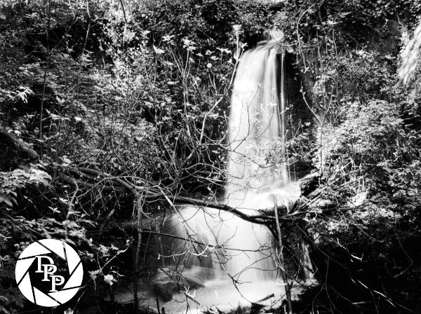 41847112142_824056066f_o