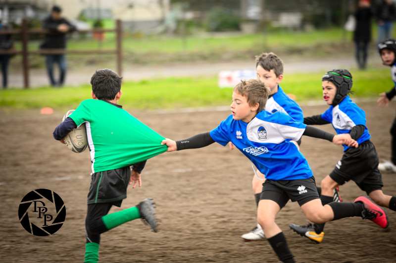 45983232562_44d3e56286_o