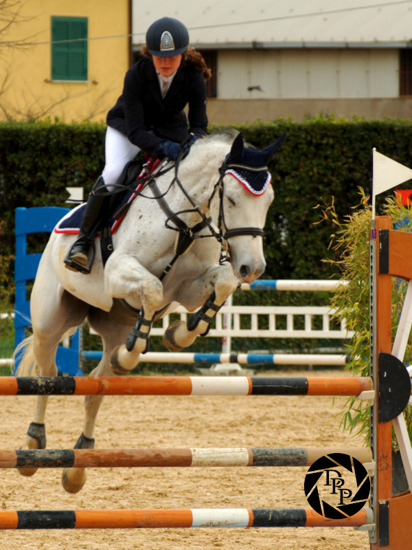 9029648431_ee751dd969_o