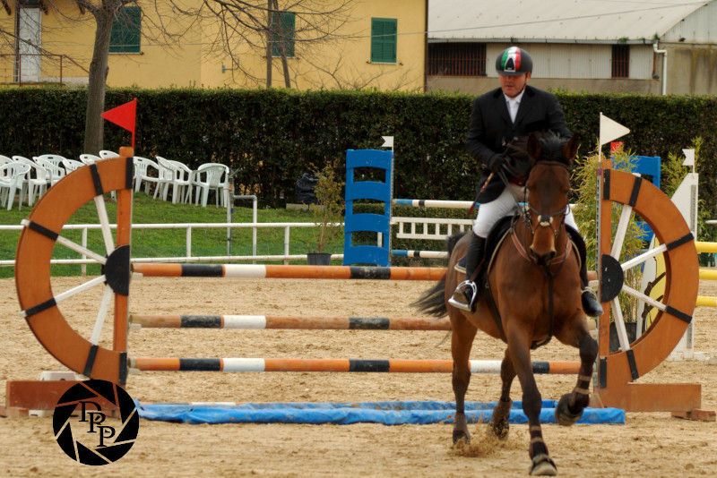 9031873614_39342f2f3a_o