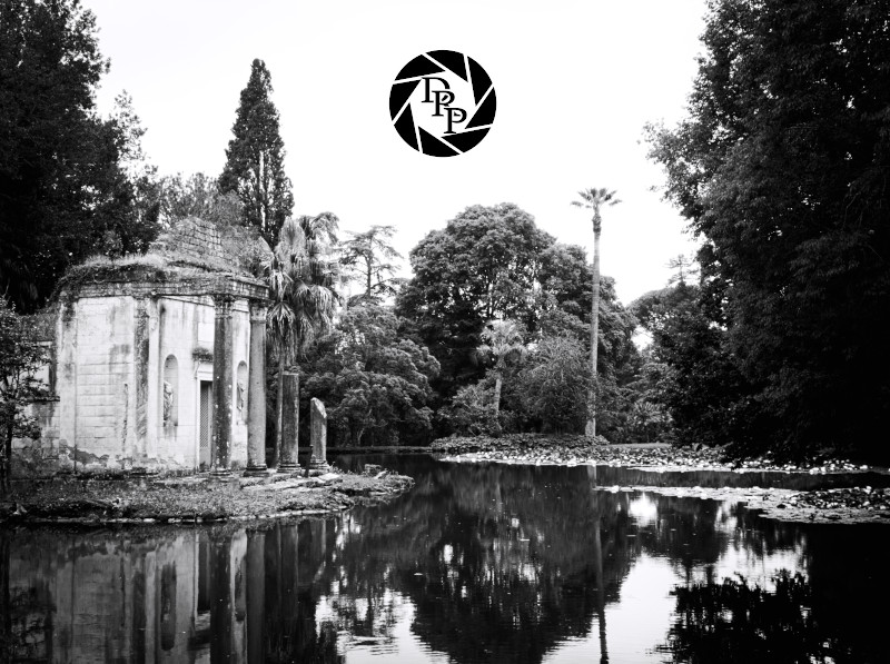 48330703112_e68f23fe2d_o