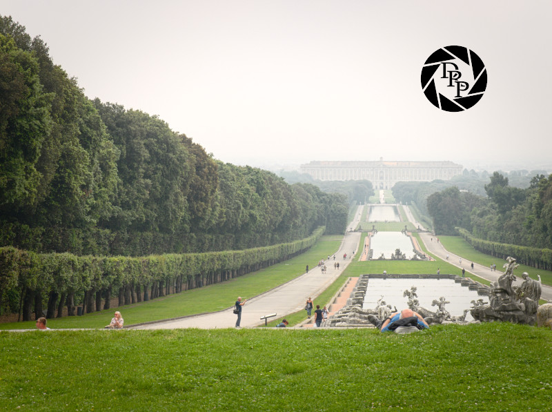 48386207487_022562b42f_o