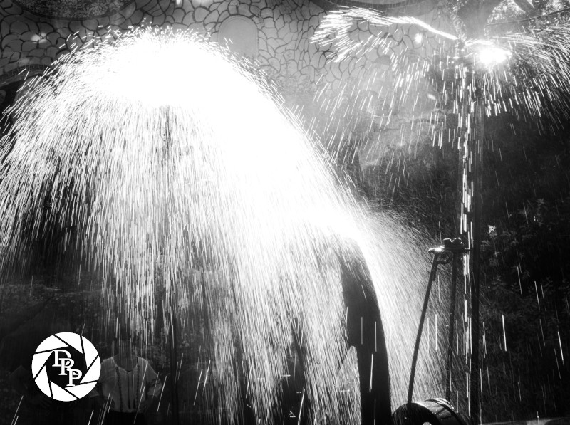 43199018041_0140f0c7c6_o