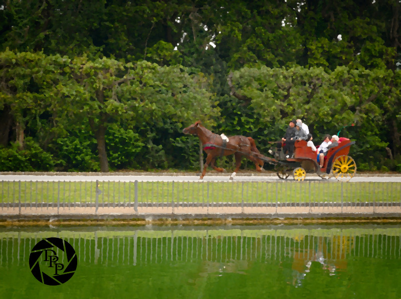 48075470172_dd83a813b8_o