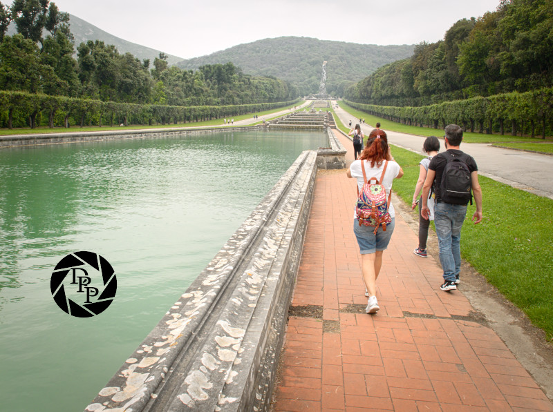 48259157821_1aa6a790a1_o