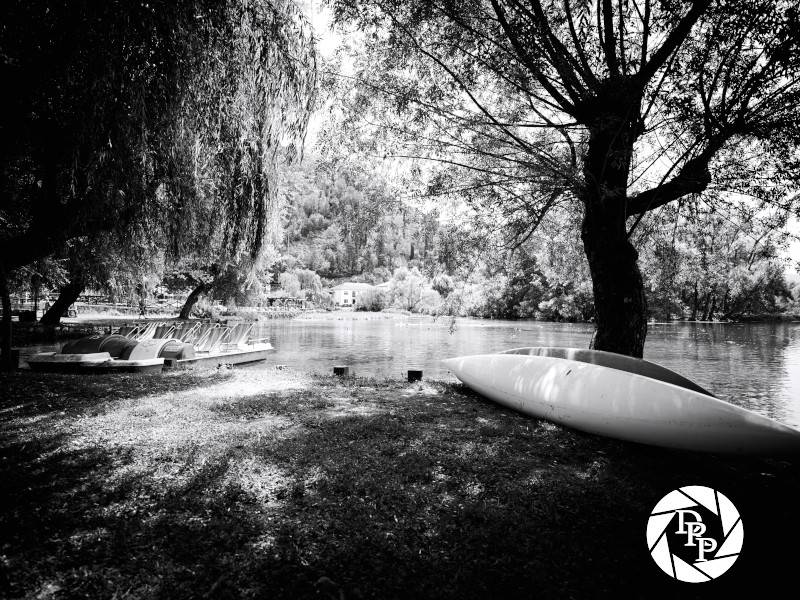 48456556257_2350b2ecd7_o