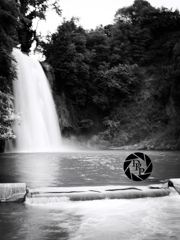 48512362531_5a2896cf41_o