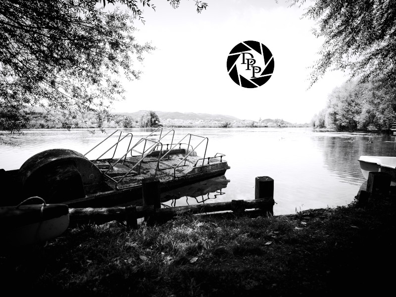 48528072277_0254e63387_o