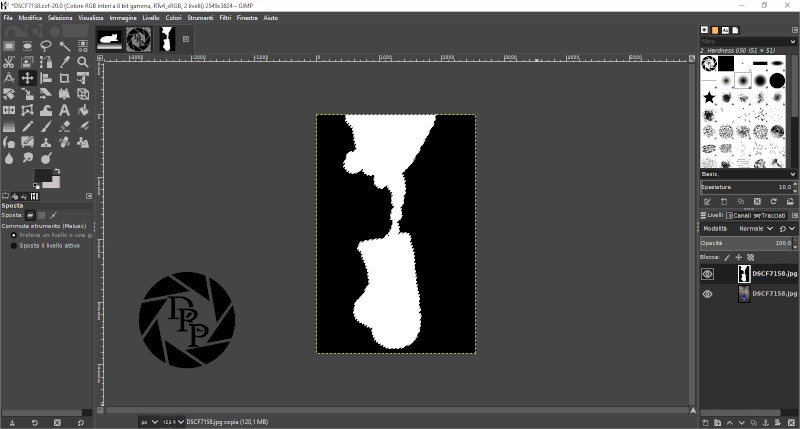 DSCF7158.xcf-20.0 (Colore RGB interi a 8 bit gamma, RTv4_sRGB, 2 livelli) 2549x3824 – GIMP_2