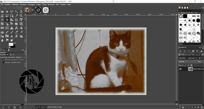 [DSCF7557] (importata)-2.0 (Colore RGB interi a 16 bit gamma, RTv4_sRGB, 1 livello) 3928x2931 – GIMP_2