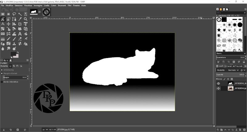 [_GFX2894] (importata)-12.0 (Colore RGB interi a 8 bit gamma, RTv4_sRGB, 2 livelli) 1024x768 – GIMP - depth
