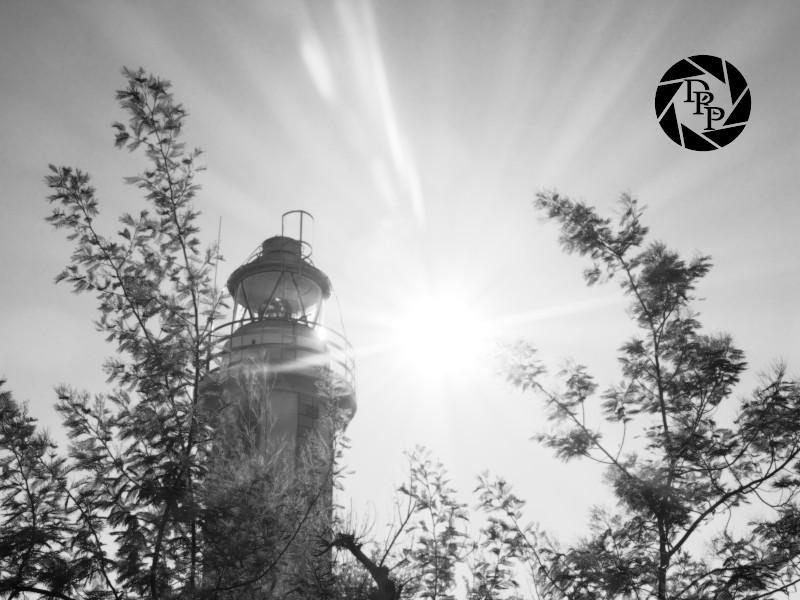 24559117581_9674c8f488_o