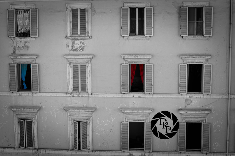 31959884358_8449e81126_o