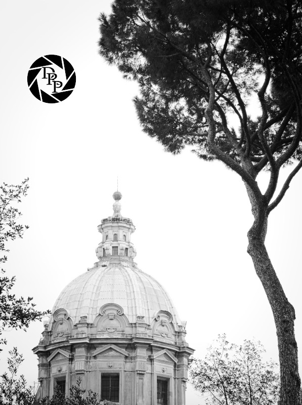 32326600951_bb7efe1d4e_o