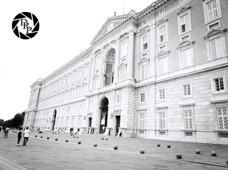 48042609223_d48ec3dba0_o