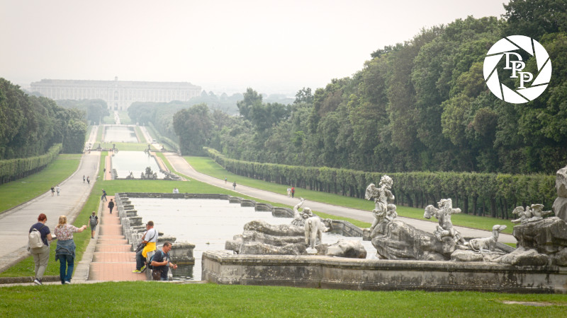 48222857392_08ba72da1f_o