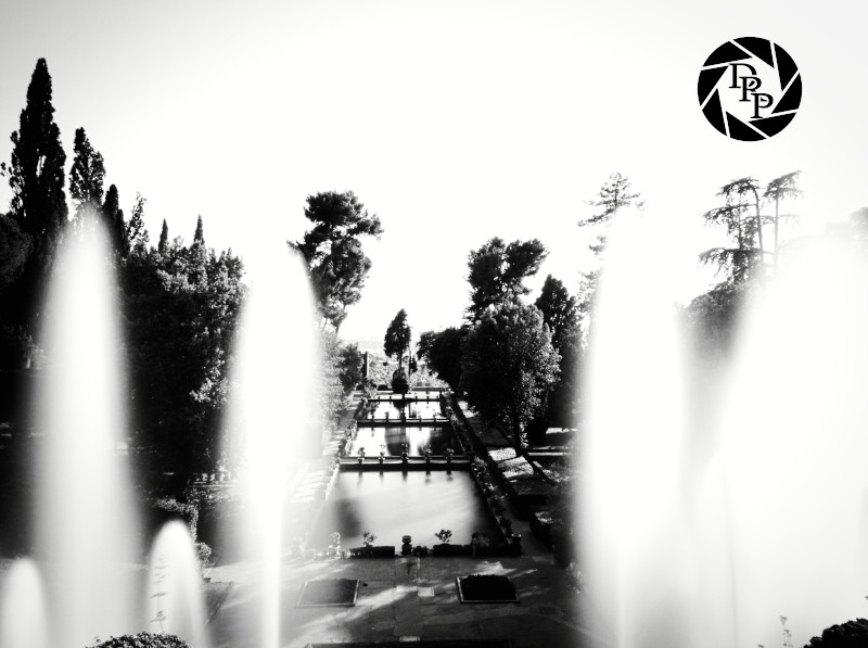 48396969451_bc43b21dd8_o