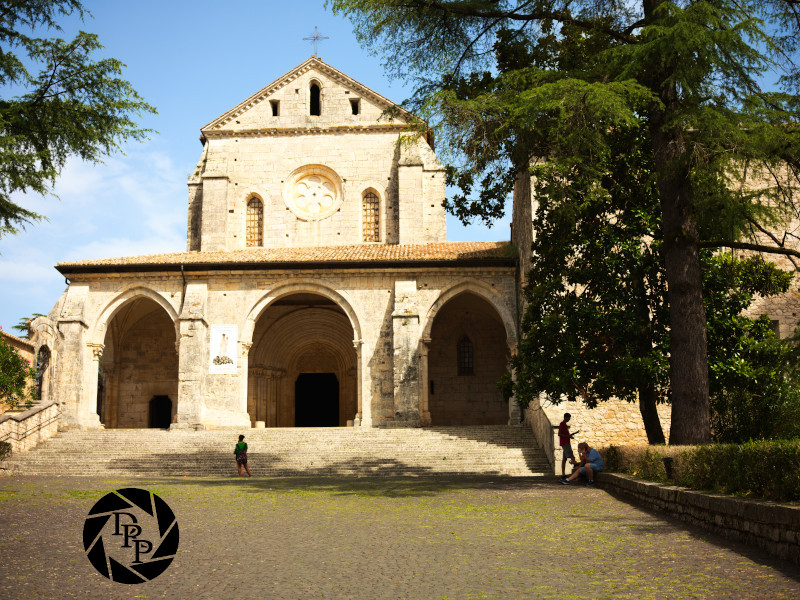 48512021812_dac6312429_o