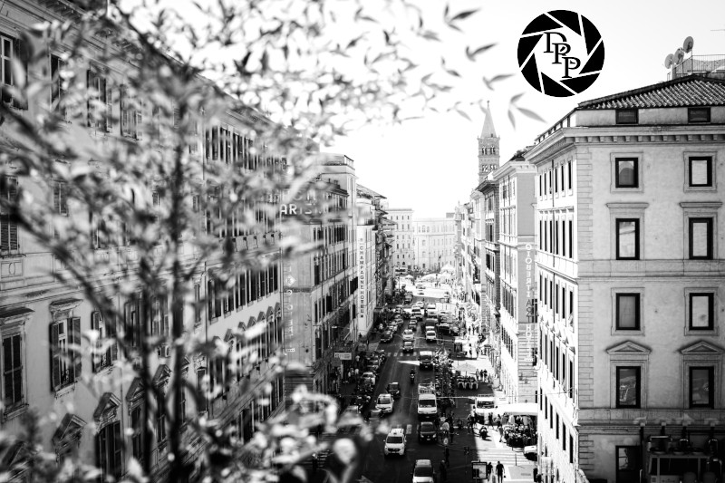 45565881921_827b46f276_o