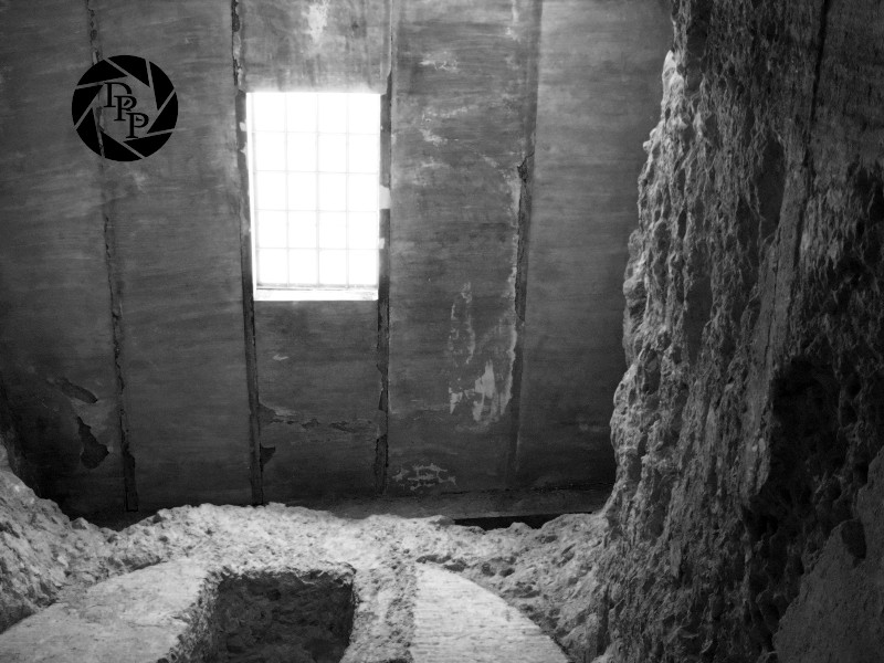 24635675052_6d6c6186dc_o