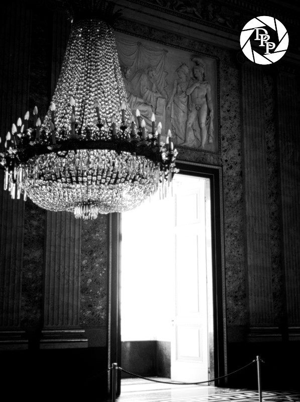 48074942457_a2e6f2d716_o