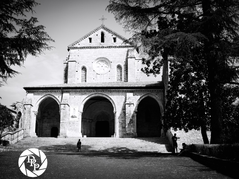 48447163847_728c88468c_o