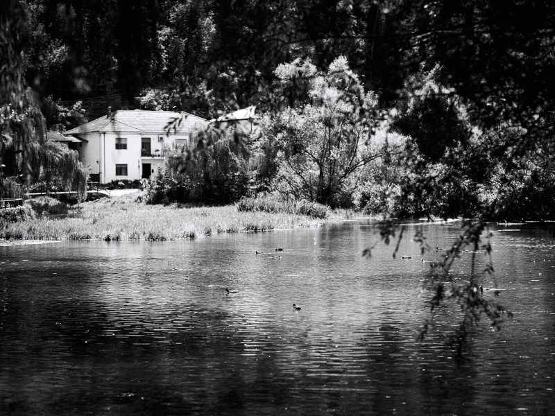 _GFX1677 - Originale