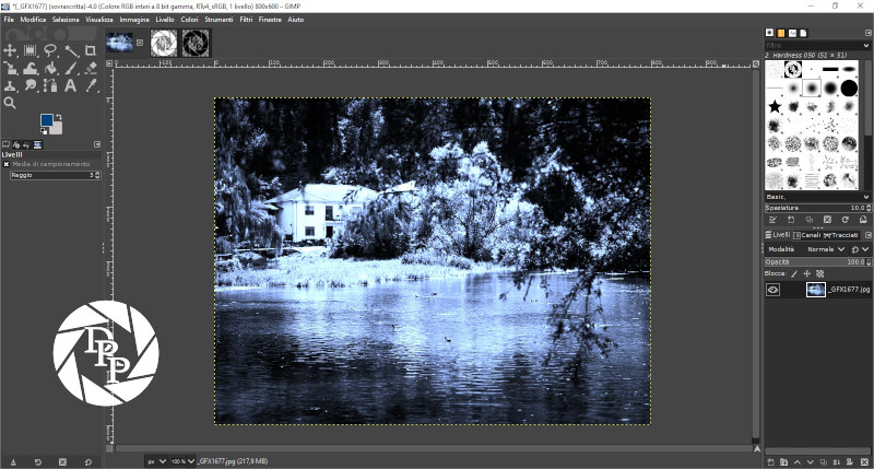 [_GFX1677] (sovrascritta)-4.0 (Colore RGB interi a 8 bit gamma, RTv4_sRGB, 1 livello) 800x600 – GIMP