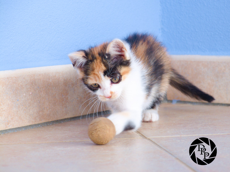 Cordelia gioca a palla